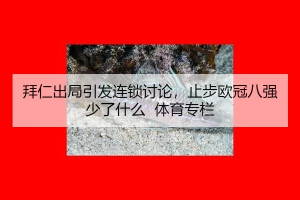拜仁出局引发连锁讨论，止步欧冠八强少了什么 体育专栏